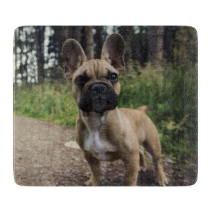 Französische Bulldogge Wurfkissen Schneidebrett