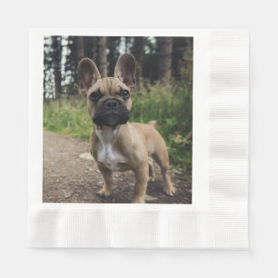 Französische Bulldogge Wurfkissen Serviette