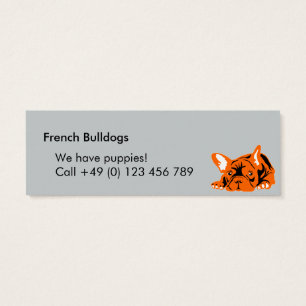 Französische Bulldoggen