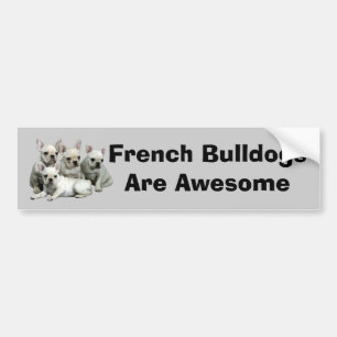 Französische Bulldoggen-Autoaufkleber Autoaufkleber