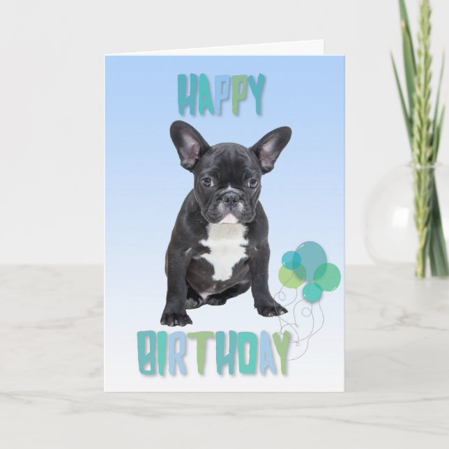 Französische Bulldoggen-blaue alles- Gute zum Karte (Vorderseite)