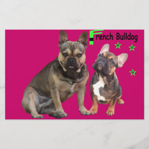Französische Bulldoggen Briefpapier