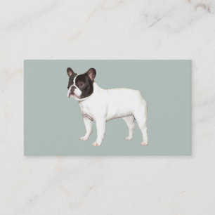 Französische Bulldoggen-Brüter-Visitenkarte Visitenkarte