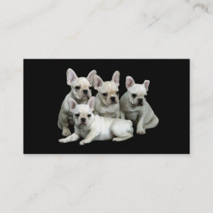 Französische Bulldoggen-Brüter-Visitenkarte Visitenkarte