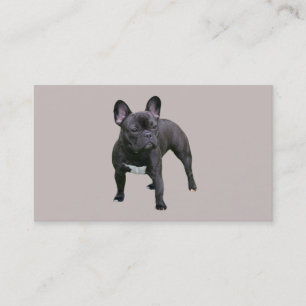 Französische Bulldoggen-Brüter-Visitenkarte Visitenkarte