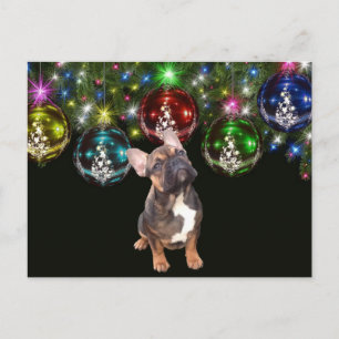  französische Bulldoggen Christmas French Bulldog Postkarte