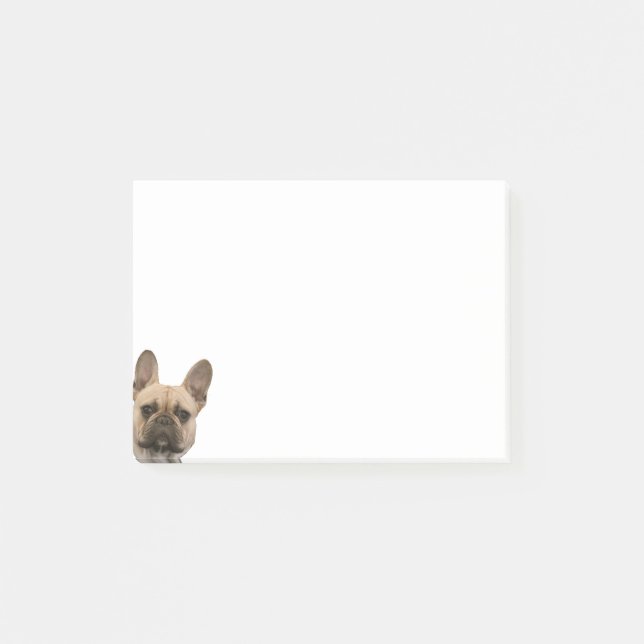 Französische Bulldoggen-Foto-niedliches Post-it Klebezettel (Vorderseite)