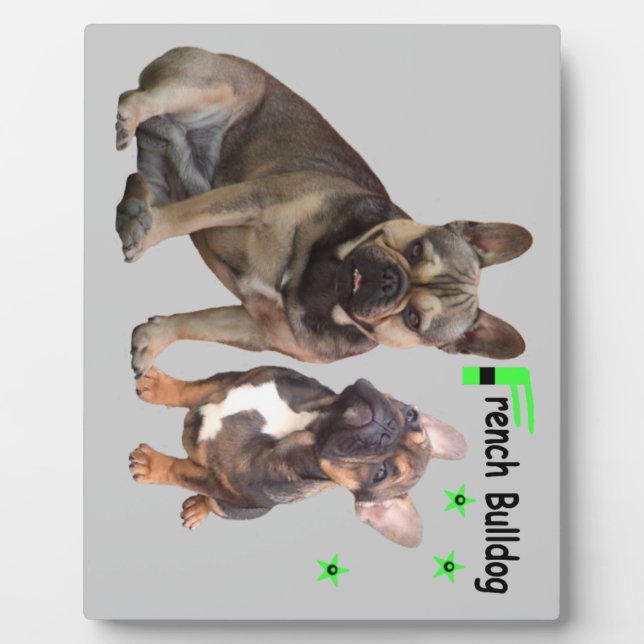 Französische Bulldoggen Fotoplatte (Vorderseite)