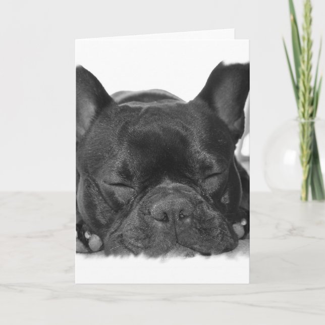 Französische Bulldoggen-Gruß-Karte Karte (Vorderseite)