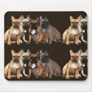 Französische Bulldoggen Hunderudel French Bulldog Mousepad