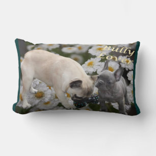 Französische Bulldoggen Kissen