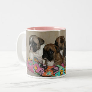 Französische Bulldoggen Kissen French Bulldog Zweifarbige Tasse