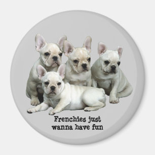 Französische Bulldoggen-Magnet Magnet