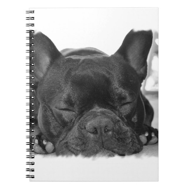 Französische Bulldoggen-Notizbuch Notizblock (Vorderseite)