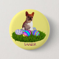 Französische Bulldoggen Ostern French Bulldog