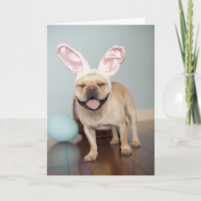 Französische Bulldoggen-Ostern-Karte! Feiertagskarte (Vorderseite)