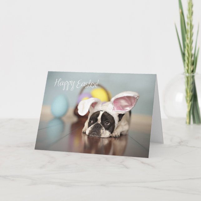 Französische Bulldoggen-Ostern-Karte! Feiertagskarte (Vorderseite)