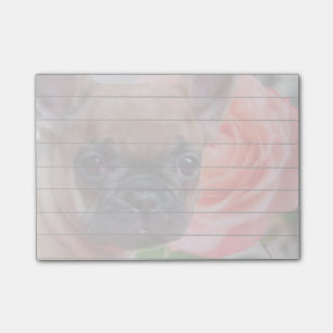 Französische Bulldoggen-Post-Itanmerkungen Post-it Klebezettel