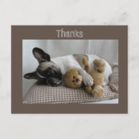 Französische Bulldoggen Postkarte "Thanks"