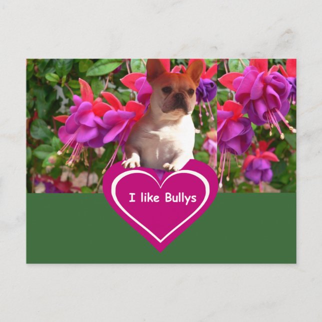 Französische Bulldoggen Postkarten (Vorderseite)