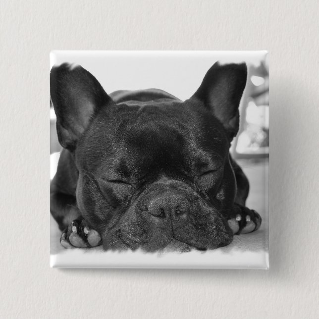 Französische Bulldoggen-Quadrat-Button Button (Vorderseite)