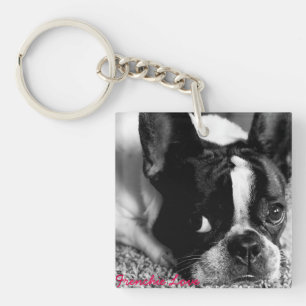 Französische Bulldoggen-Schlüsselanhänger Schlüsselanhänger