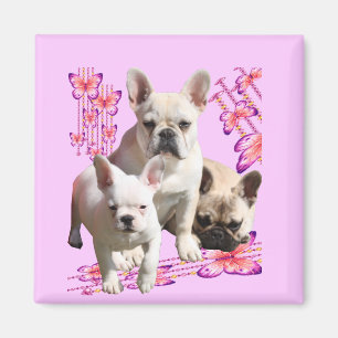 Französische Bulldoggen Schmetterling Bulldog Magnet