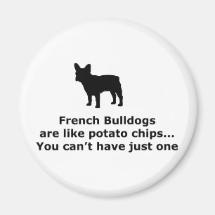 Französische Bulldoggen sind wie Kartoffelchips Magnet