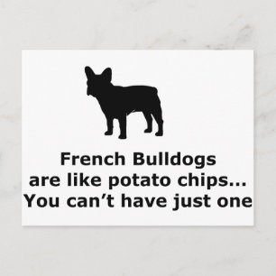 Französische Bulldoggen sind wie Kartoffelchips Postkarte