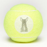 Französische Bulldoggen-Tennisbälle
