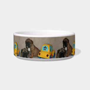 Französische Bulldoggen Wassernapf Napf