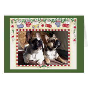Französische Bulldoggen Weihnachts Grußkarte