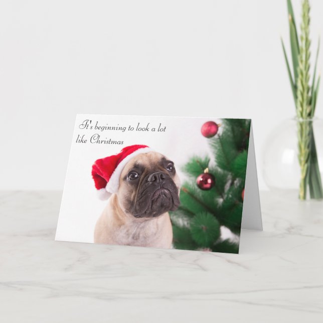 Französische Bulldoggen-Weihnachtskarte Feiertagskarte (Vorderseite)