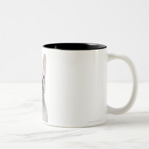 Französische Bulldoggen-Welpe (5 Monate alte) Zweifarbige Tasse