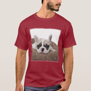 Französische Bulldoggen-Welpe, der in einem T-Shirt