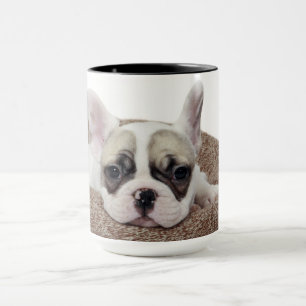 Französische Bulldoggen-Welpe, der in einem Tasse