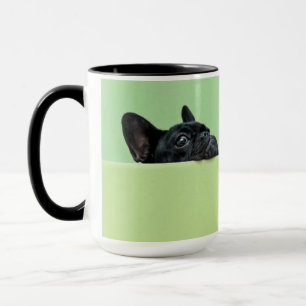 Französische Bulldoggen-Welpe, der über Wand Tasse