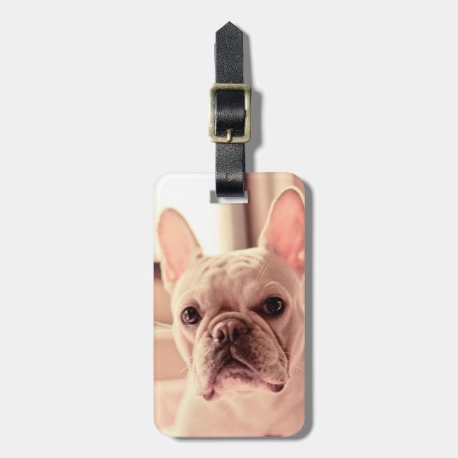 Französische Bulldoggen-Welpe Gepäckanhänger (Vorderseite vertikal)