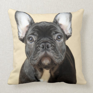 Französische Bulldoggen-Welpe Kissen