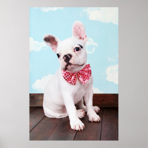Französische Bulldoggen-Welpe mit rosa Bogen Poster