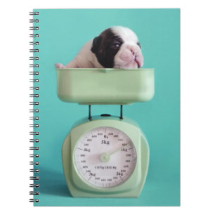 Französische Bulldoggen-Welpe Notizblock