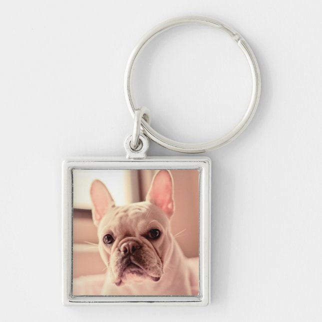 Französische Bulldoggen-Welpe Schlüsselanhänger (Vorne)