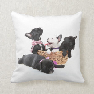 Französische Bulldoggen-Welpen Kissen