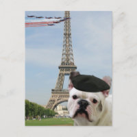 Französische Bulldogin-Postkarte in Paris