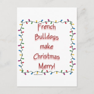 Französische Bulldogs machen Weihnachten froh