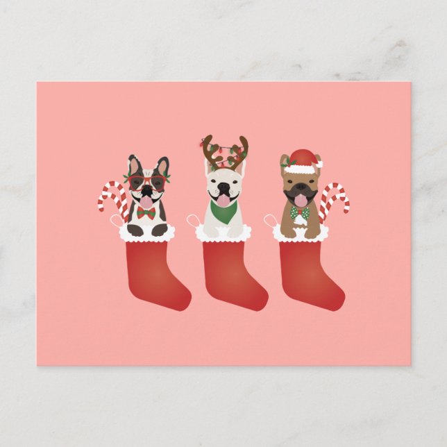 Französische Bulldogs Weihnachtslieder-Strümpfe Postkarte (Vorderseite)