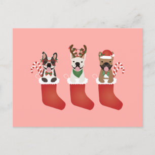 Französische Bulldogs Weihnachtslieder-Strümpfe Postkarte