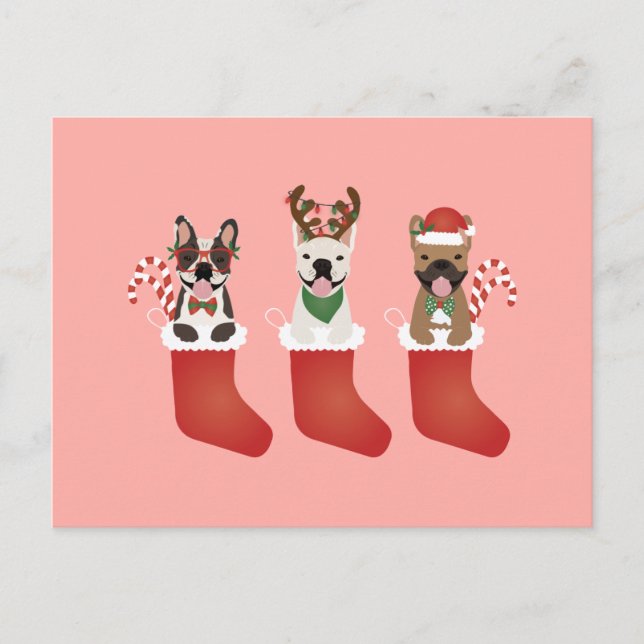 Französische Bulldogs Weihnachtslieder-Strümpfe Postkarte (Vorderseite)