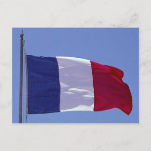Französische Flagge Postkarte