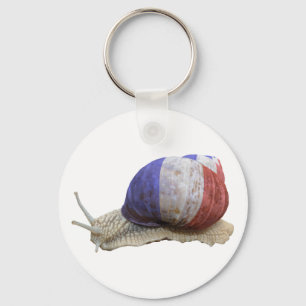 Französische Flaggenschnecke Schlüsselanhänger